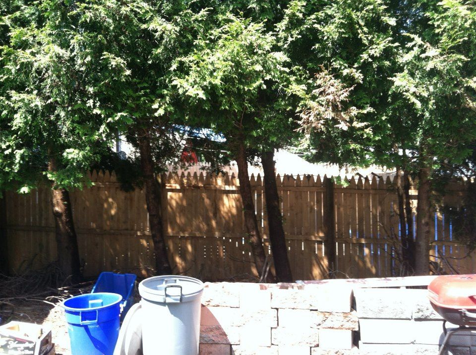 photo 319437_10151016924242285_657268752_n.jpg